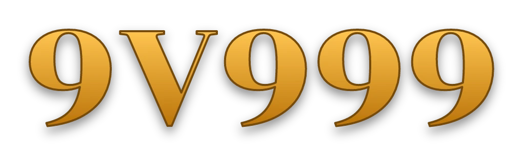 9V999 logo